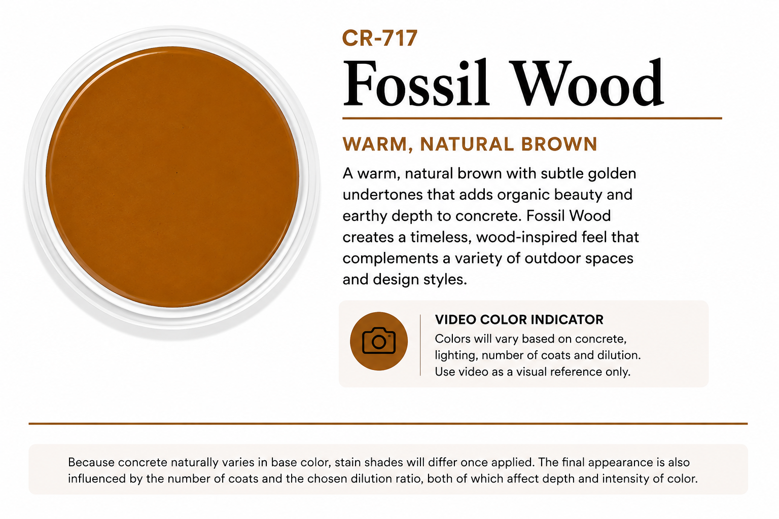 #color_Fossil-Wood