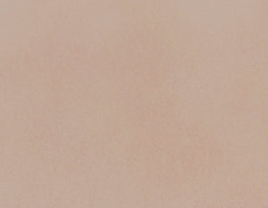 Canvas Tan