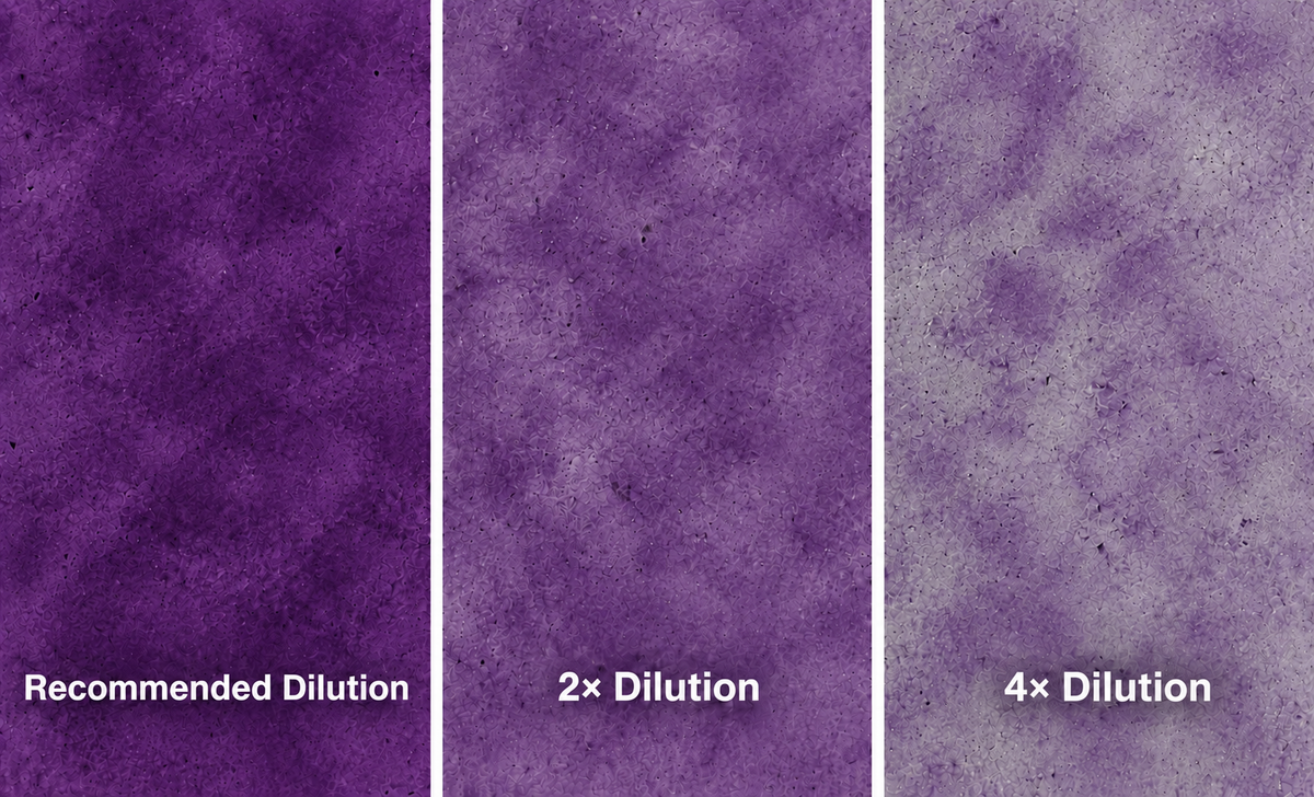 Ten Second Color Acetone Based Stain