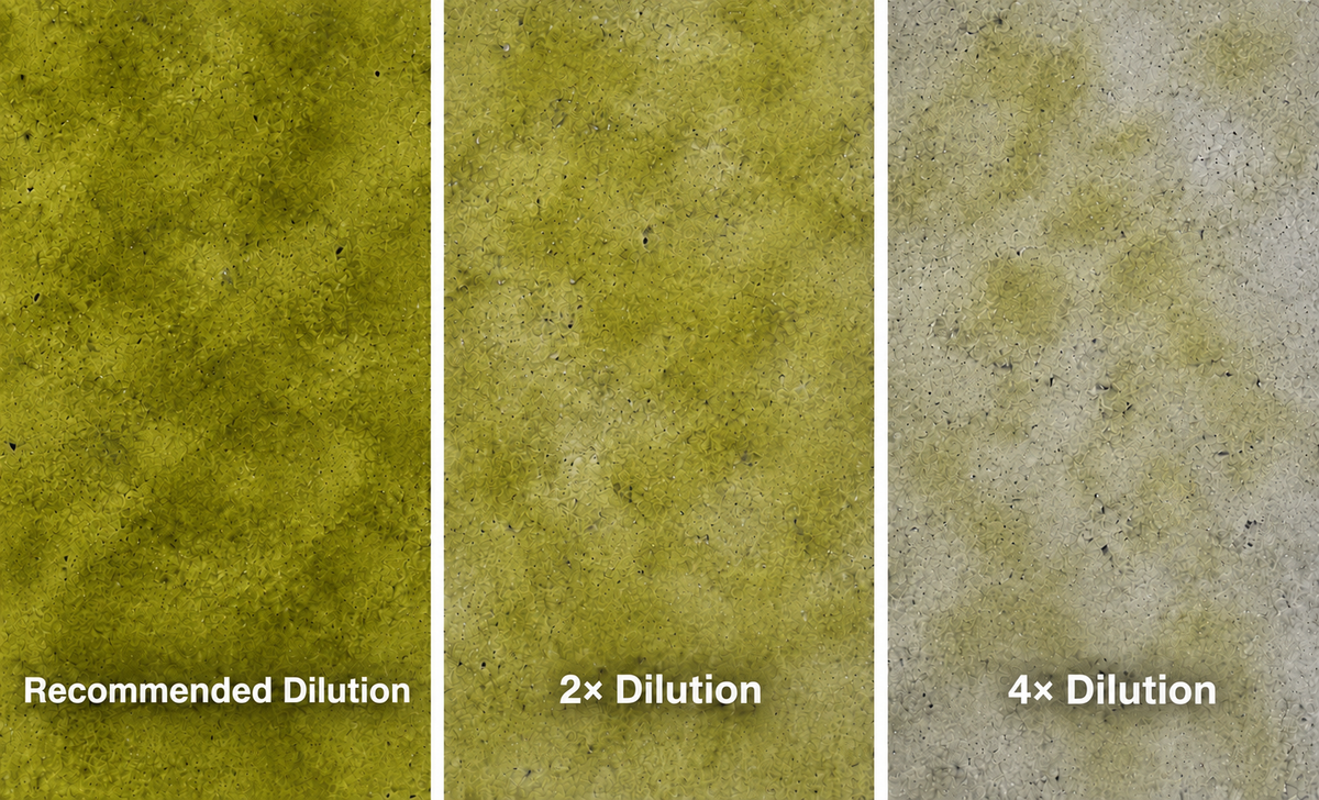 Ten Second Color Acetone Based Stain