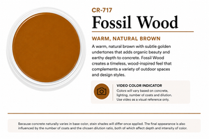 Fossil Wood